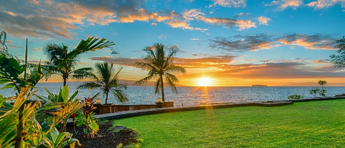Search Maui Listings