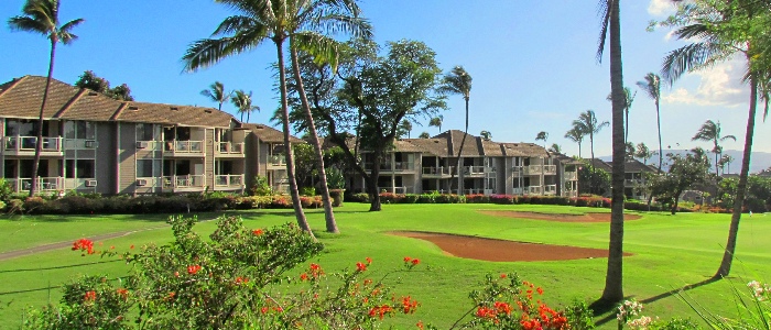 South Maui Listings